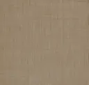 Basis