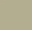 Gray Beige