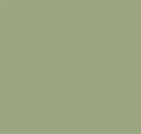 Khaki Green