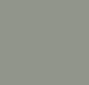Platinum Metallic