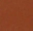 Burnt Sienna
