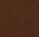 Cocoa