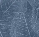 Lvs010