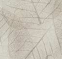Lvs001