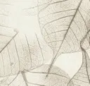 Lvs006
