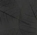 Lvs009