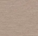 Sat21