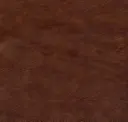 Brimming With Brown
