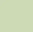 2100-S, Light Green - Solid