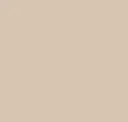 2900-S, Beige - Solid