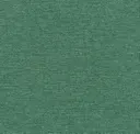 Marsh