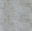 Iron