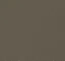 Light Bronze Metallic