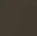 Bronze Metallic