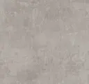 Pebble