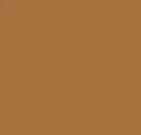Copper Penny
