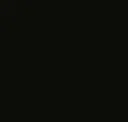 Negro Ghost
