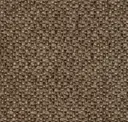 Bark