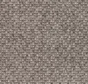 Iron