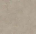 Lemur