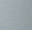 Glacier