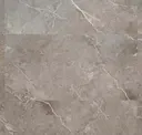 Dark Beige