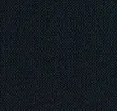 Bast