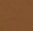 Sahara