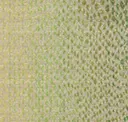 Foliage