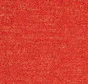 Cardinal