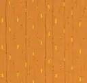 Cedar