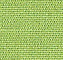 Wasabi