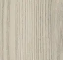 Grey Elm