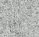 Silver Dollar