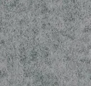 Silverbush
