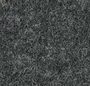 Soft Charcoal