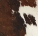 Tri-Color