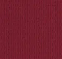 Shout