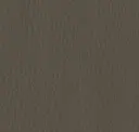 Iron