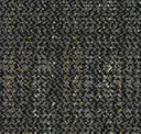 Dark Mustard