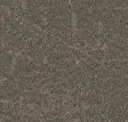 Magma