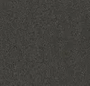 Carbon Accent
