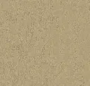 Neutral Accent