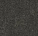 Coal