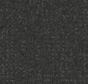 Coal
