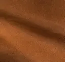 Beaver