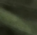Seaweed