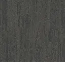 Charcoal