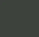 Olive Detour