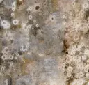 Silver/copper/rust